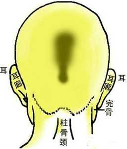 骨相中几种贵人命格