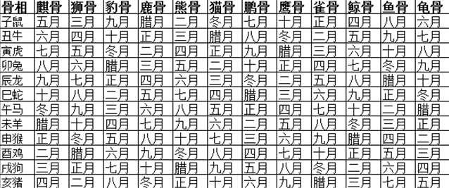出生年月看你是啥骨相
