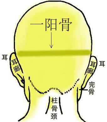 骨相大全——一阳骨，骨相图解 一阳骨