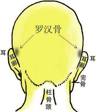 骨相大全——罗汉骨