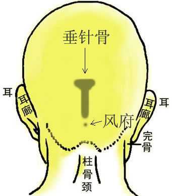 骨相大全——垂针骨，骨相图解 垂针骨