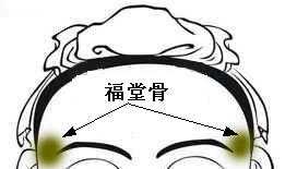 骨相大全——福堂骨 骨相大全——福堂骨