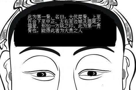 骨相大全——伏犀骨 骨相大全——伏犀骨