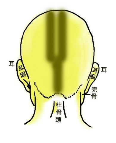 骨相大全——双龙金锁骨