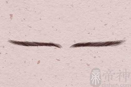一字眉的女人好不好 事业上有所发展