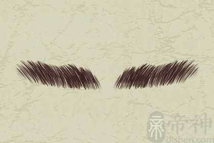 八字眉的女人命运怎么样 事业方面有所发展