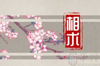 脸上吉痣图解 这5颗痣别点掉避免好运流失