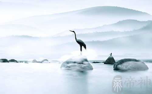 有鹰钩鼻的女人命很差吗 适应能力强气场强大