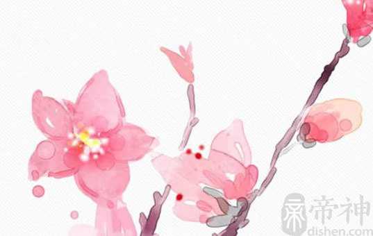 通天纹手相什么意思 财运发展好富甲一方
