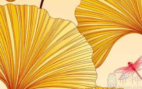 女人眉毛看相图解大全 女人扫把眉的命运