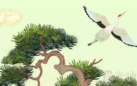 女人面相脸型分析图解 生活充裕发展前景优良
