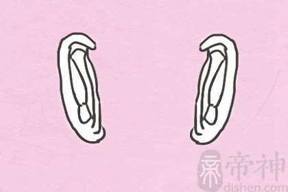 什么形状的眉毛旺财运 财运亨通幸福美满