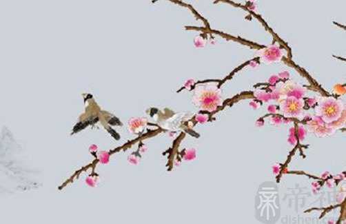 富婆的面相特点 命中大富大贵灵敏度高