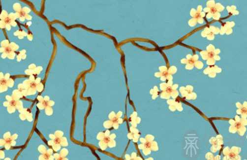 手指纹螺和簸箕的说法 幸福婚姻发展相守永不分离