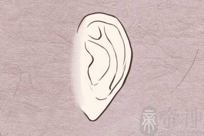 什么面相桃花旺 瓜子脸或鼻子高