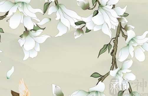 看女人腰部图解知命运 事业顺利富贵满盈