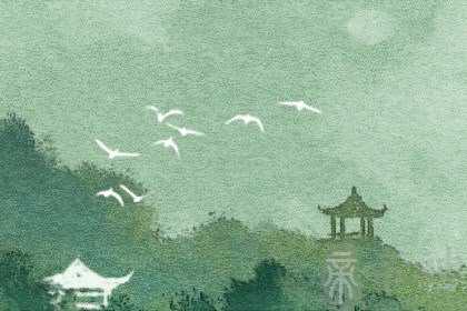 带华盖的八字桃花 命带不凡子女运势有待提高