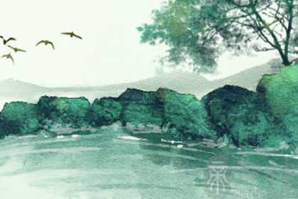 八字带华盖的桃花 可能拥有正桃花或烂桃花