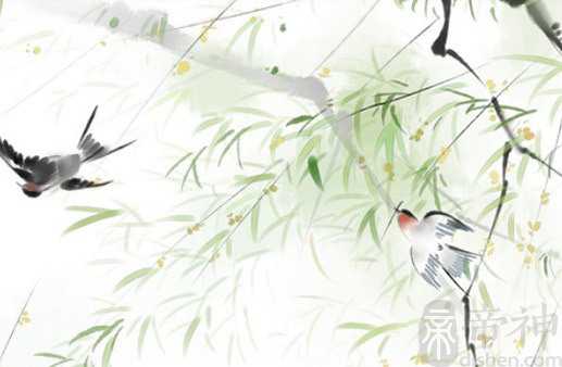 媒婆痣可以点掉吗 可以去掉好处多