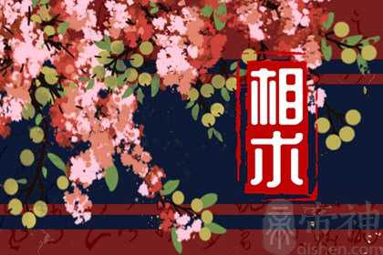 厚嘴唇旺夫是什么意思啊 下嘴唇厚的女人面相详解