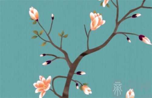 生辰八字看命几斤几两对照表2023 女命5两还没4两9好吗
