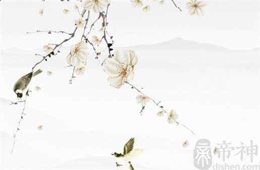 女人左眼周围有痣图解 左眼有痣血气亏损