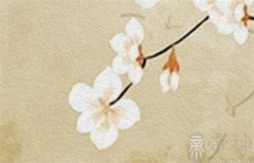 女人手相如何看出是否富贵 女人有财的手纹图