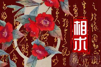 印堂凹陷有什么不好 印堂是聚集福气的地方