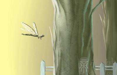 2023兔年走桃花运的八字 丁火癸巳脱单有望感情升温