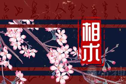 眉毛短的男人的命运如何 男人短眉毛代表什么