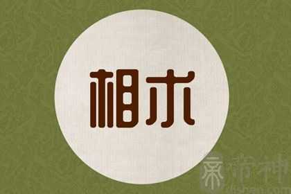 受到神佛保佑的痣 分析佛痣是什么
