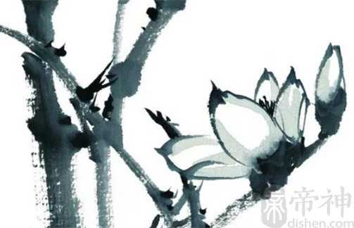 癸卯年是水旺还是木旺 癸卯喜用神总论
