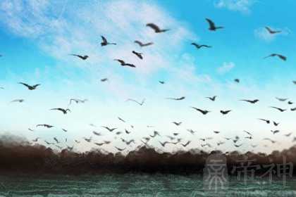 大年初一什么东西不能吃 2023年正月初一可以吃什么