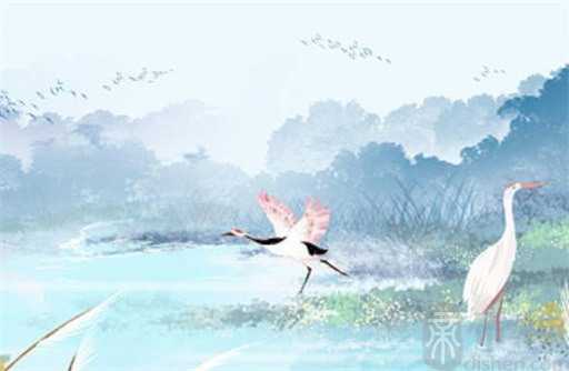 癸水为什么有前世记忆 癸水日元最厉害的格局