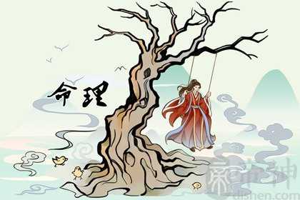 癸卯在时柱分析 比较适合往北方发展
