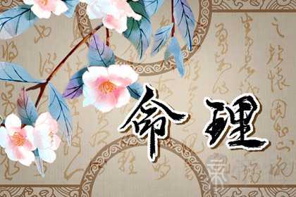 2023年正缘八字 辛巳日柱有大吉之象