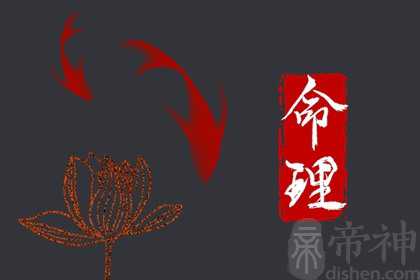 2023年考运好到爆的八字 身旺或从官杀格心想事成