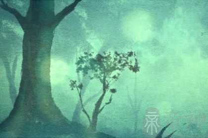 属兔的富豪出生在几月 六月份出生则天生富贵