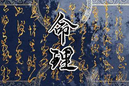 木兔在2023年出生运势 职业生涯容易走弯路