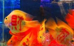 测测你与发财赚钱有缘吗