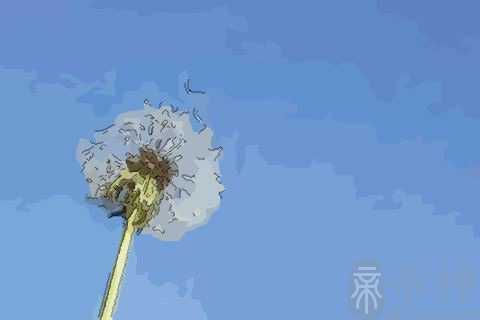十二星座里最理性的星座女