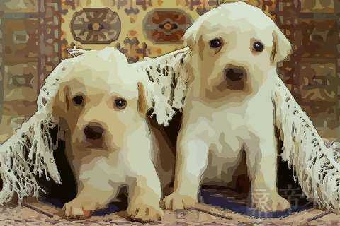 梦见家里有窝小狗