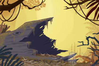 做梦梦见地震大水，要做好应急措施