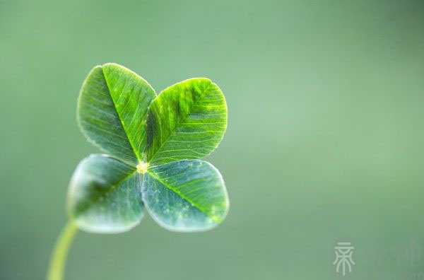测试你的幸运色是什么颜色