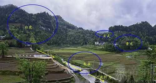 风水小知识 之 青龙、白虎、朱雀、玄武