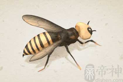 梦见马蜂窝和好多马蜂是什么意思