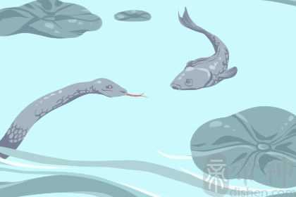 女人梦见蛇和很多鱼预示什么