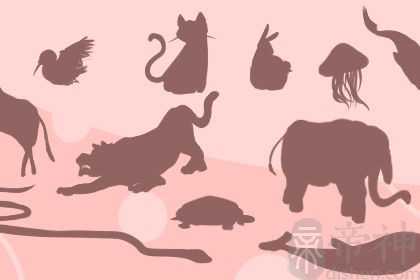 梦到稀奇古怪的动物是什么意思