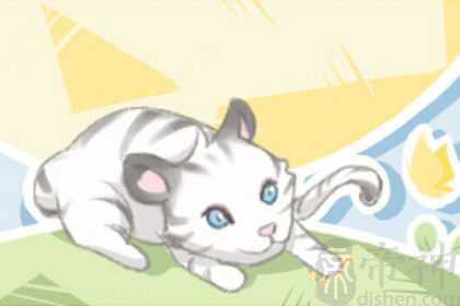 做梦梦到花猫跳上房是什么意思