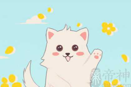 做梦梦到花猫和黑猫预示着什么